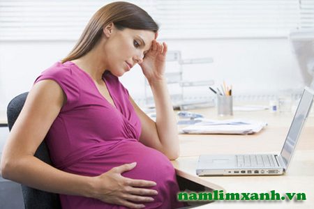 Cảnh báo gan nhiễm mỡ khi mang thai