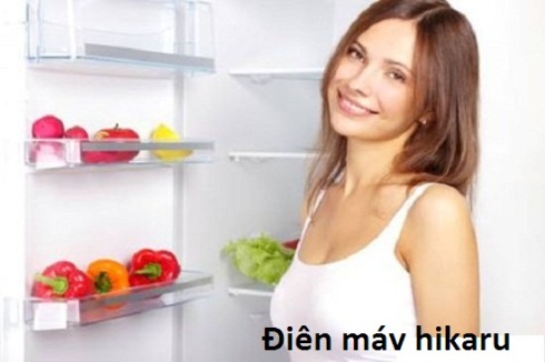 Tủ lạnh mini tiện lợi giành cho gia đình nhỏ