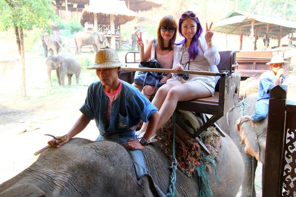 Chia sẻ kinh nghiệm du lịch Chiang Mai thú vị