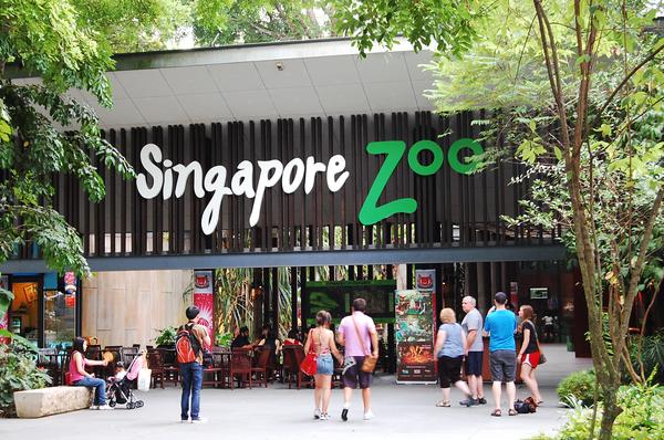 Khám phá vườn thú hoang dã đẹp nhất Singapore