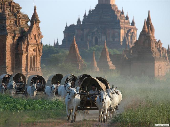Tour Myanmar 4 ngày giá rẻ bay VN Airline Yangon - Bago - Kyaikhityo