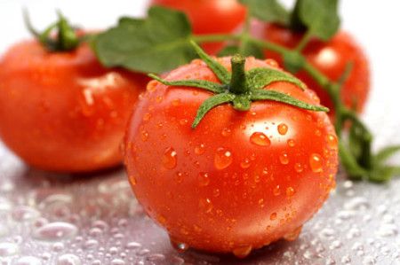 Cách nuôi dưỡng thần kỳ mới nhận thấy ra từ cà chua