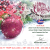 Mẫu thiệp giáng sinh điện tử độc đáo 2019